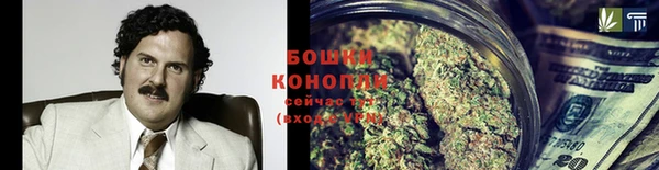 сатива Абдулино