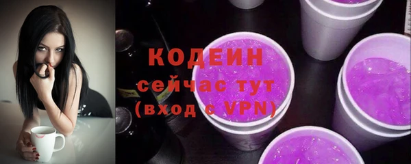 хмурый Абаза