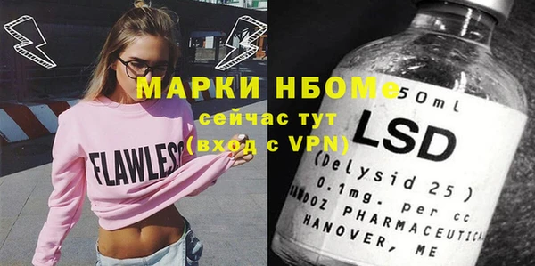 хмурый Абаза