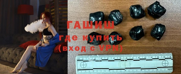 хмурый Абаза