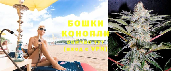 сатива Абдулино