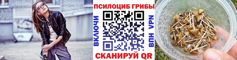 Галлюциногенные грибы Psilocybe  наркошоп  Щёкино 